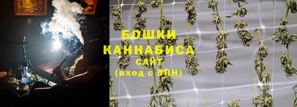 МДПВ Бронницы
