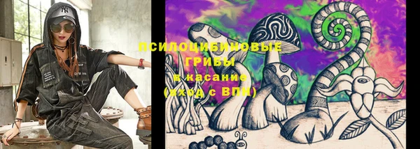 МДПВ Бронницы