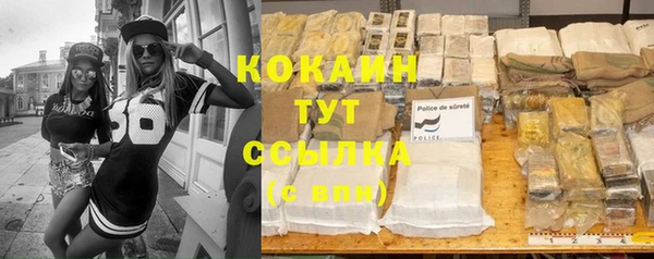 дживик Богданович