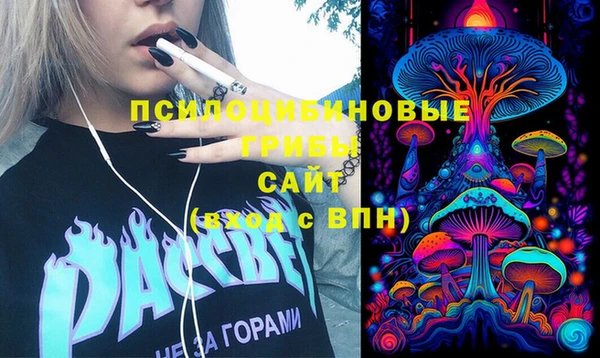 МДПВ Бронницы