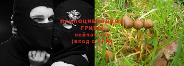 mdpv Бугульма