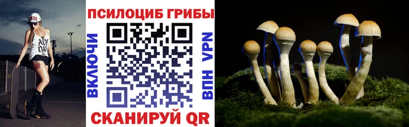ссылка на мегу как войти  Юрьевец  Галлюциногенные грибы MAGIC MUSHROOMS 